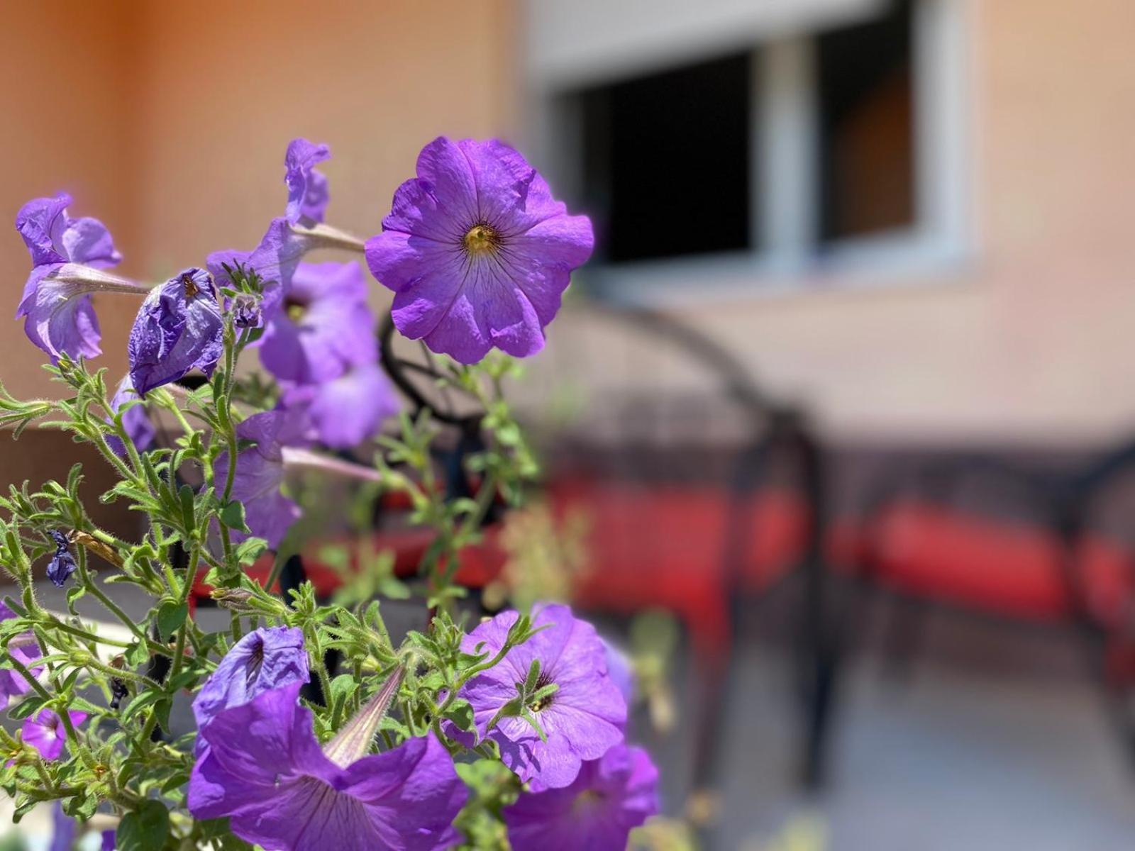 Apartment Sanjo Mostar Exterior photo